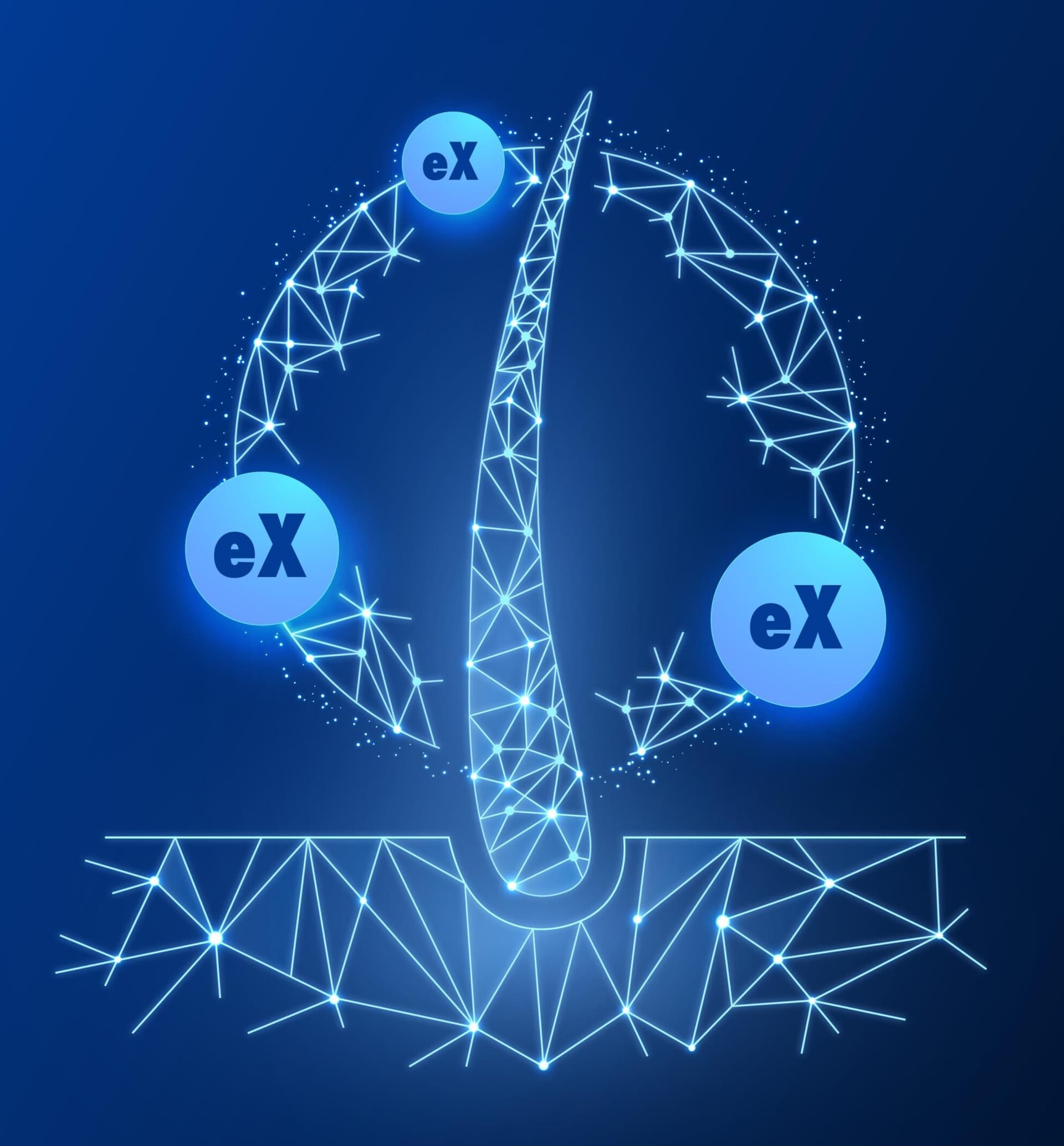 Exosome illustration